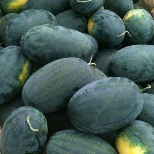 一起草吃瓜黑料国产