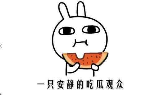 热门黑料吃瓜爆料门事件蘑菇,揭秘热门黑料背后的真相与争议